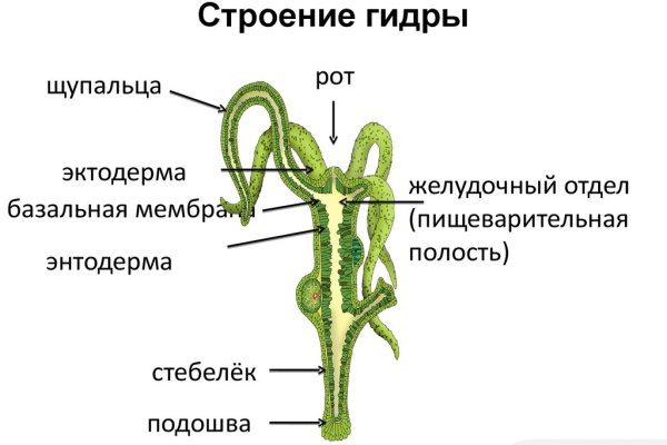 Найти ссылку кракен