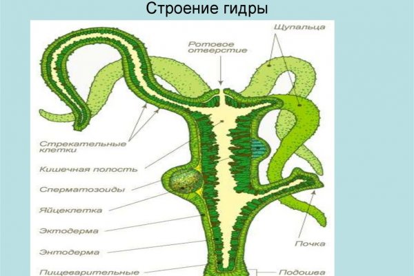 Ссылки для tor