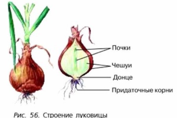 Кракен сайт ссылка kr2web in